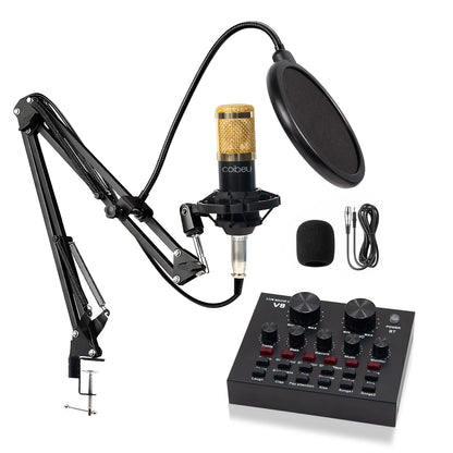 Kit Microfone Condensador com Placa de Som e Braço Articulado e Pop Filter para Transmissão ao Vivo | Elizium Store