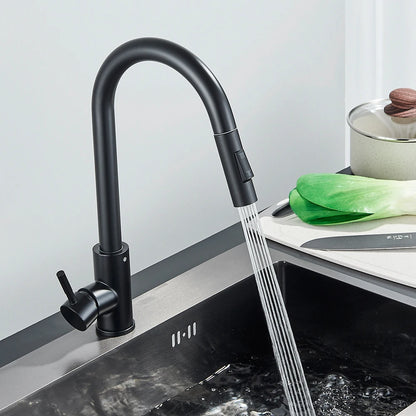 Torneira de Cozinha Preta Misturadora – Água Quente e Fria, Bica Giratória com 2 Funções | Elizium Store